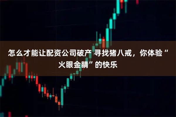 怎么才能让配资公司破产 寻找猪八戒，你体验“火眼金睛”的快乐