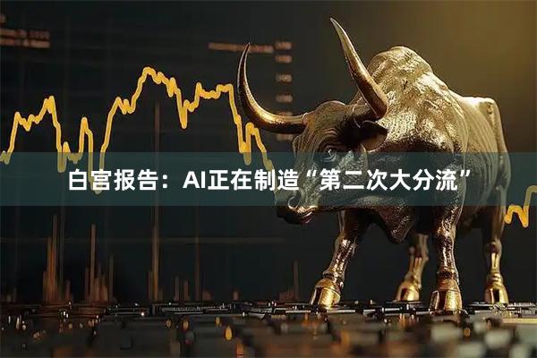 白宫报告：AI正在制造“第二次大分流”