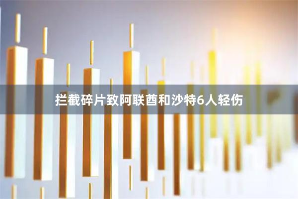 拦截碎片致阿联酋和沙特6人轻伤
