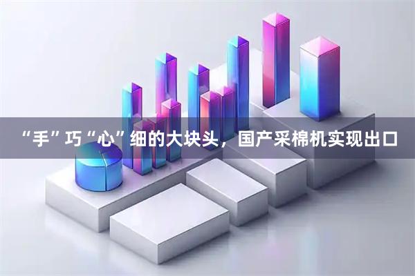“手”巧“心”细的大块头，国产采棉机实现出口